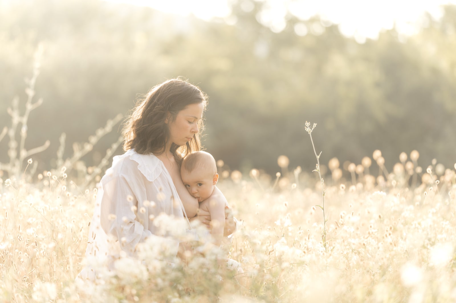 Photographe allaitement à Draguignan dans le Var bébé et bambin