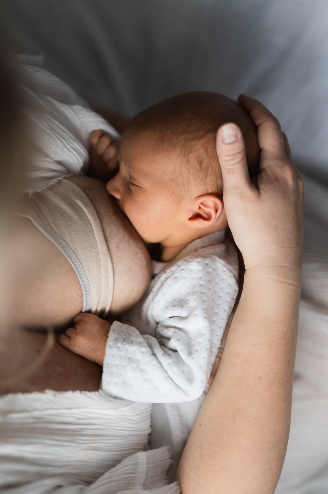 photographie allaitement nouveau-né, bébé, bambin. Photographe naturel et intimiste dans le Var Draguignan