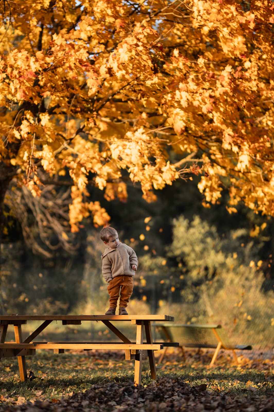 photographie naturelle bébé enfant famille allaitement dans le Var à Draguignan