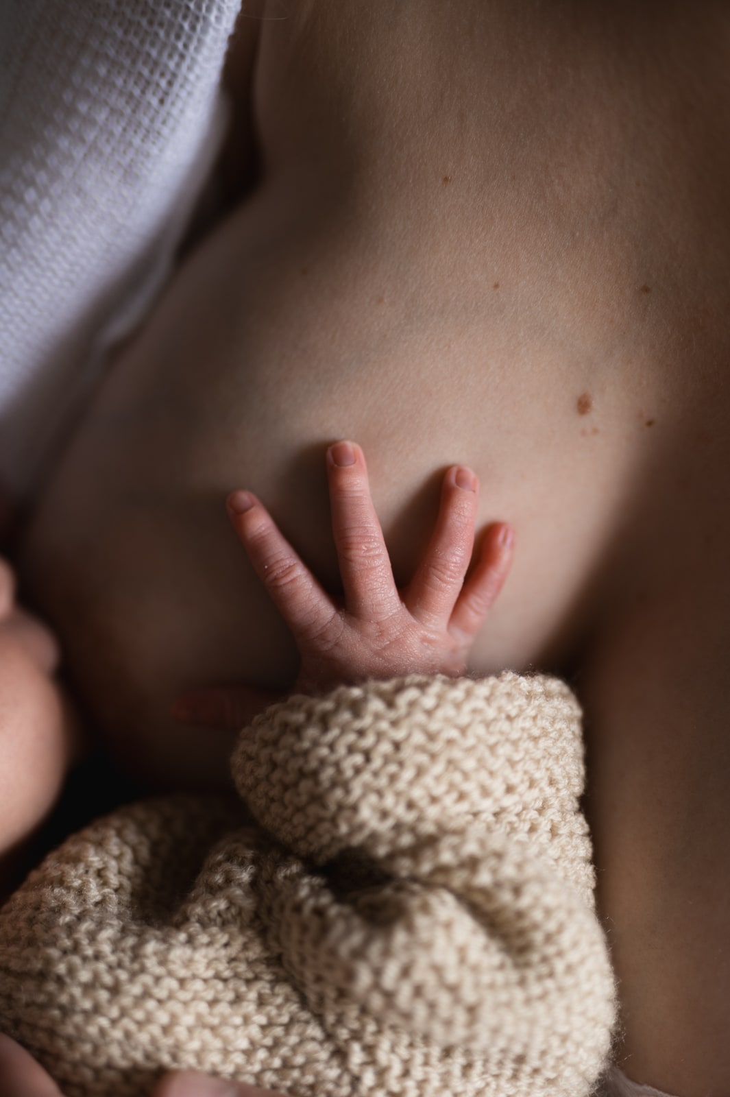 photographie allaitement nouveau-né, bébé, bambin. Photographe naturel et intimiste dans le Var Draguignan