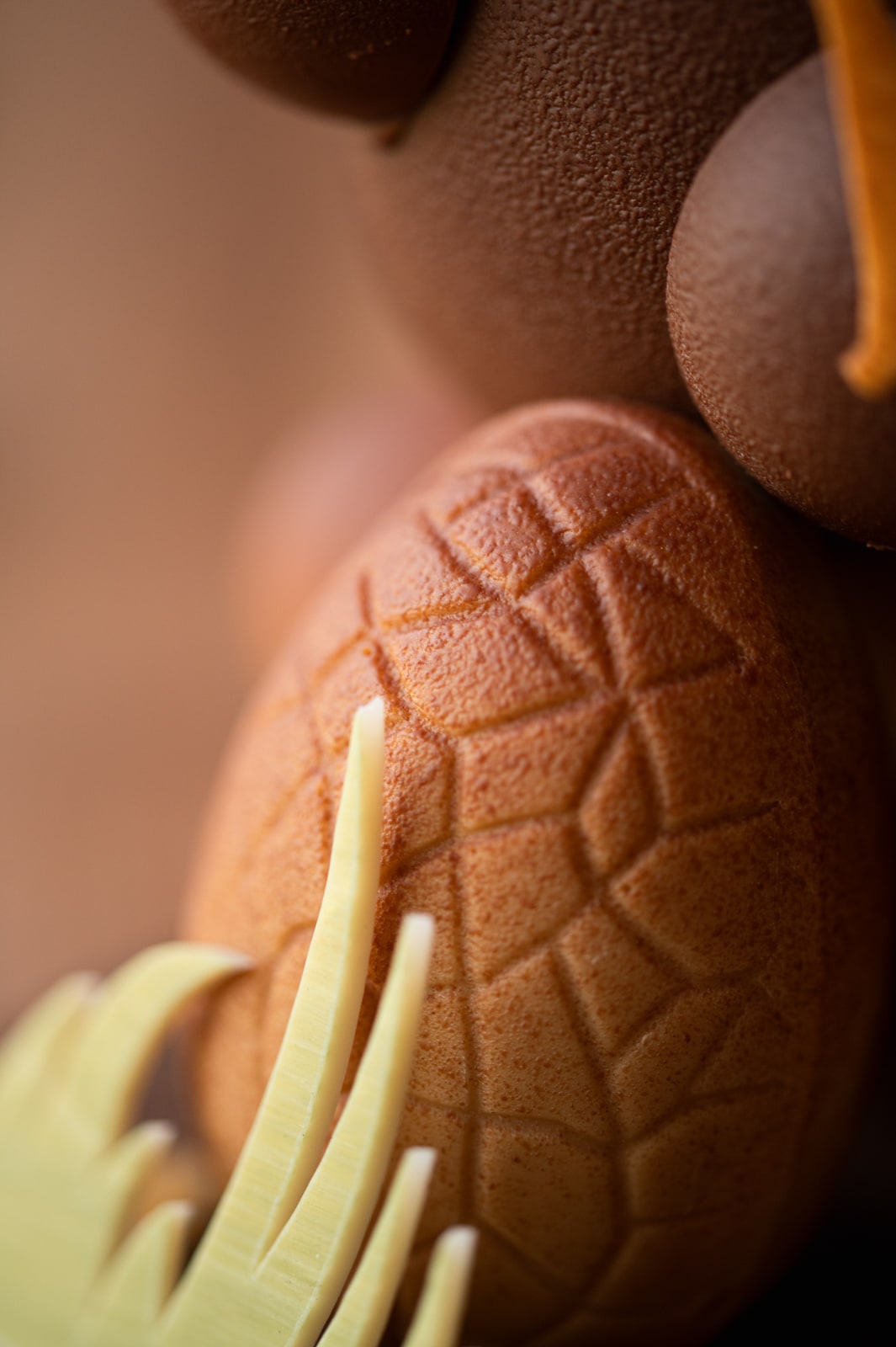 photo-culinaire-61